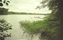 Grabauer See